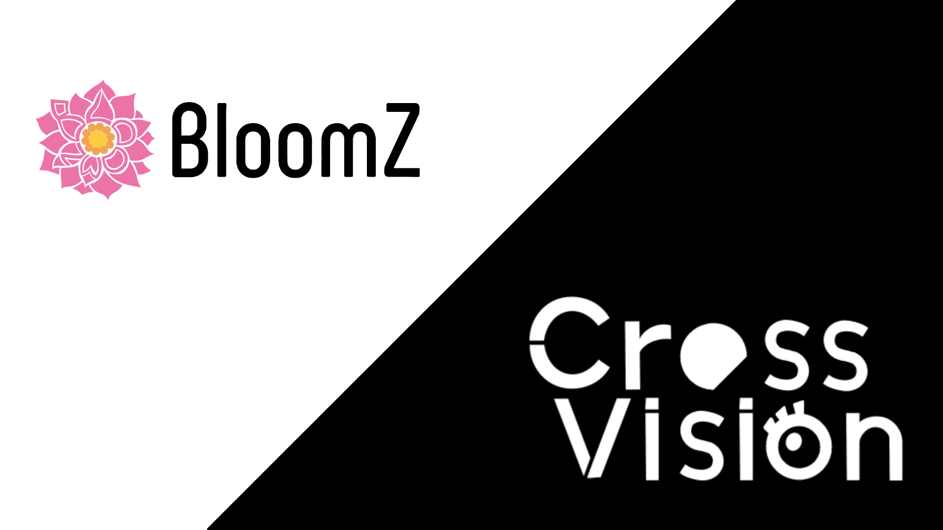 BloomZ x CrossVision Collaboration